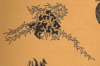 Thorn Pattern Thorn Pattern